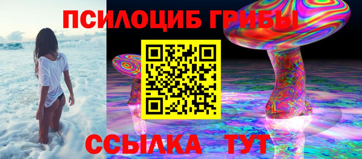 Псилоцибиновые грибы прущие грибы Костомукша