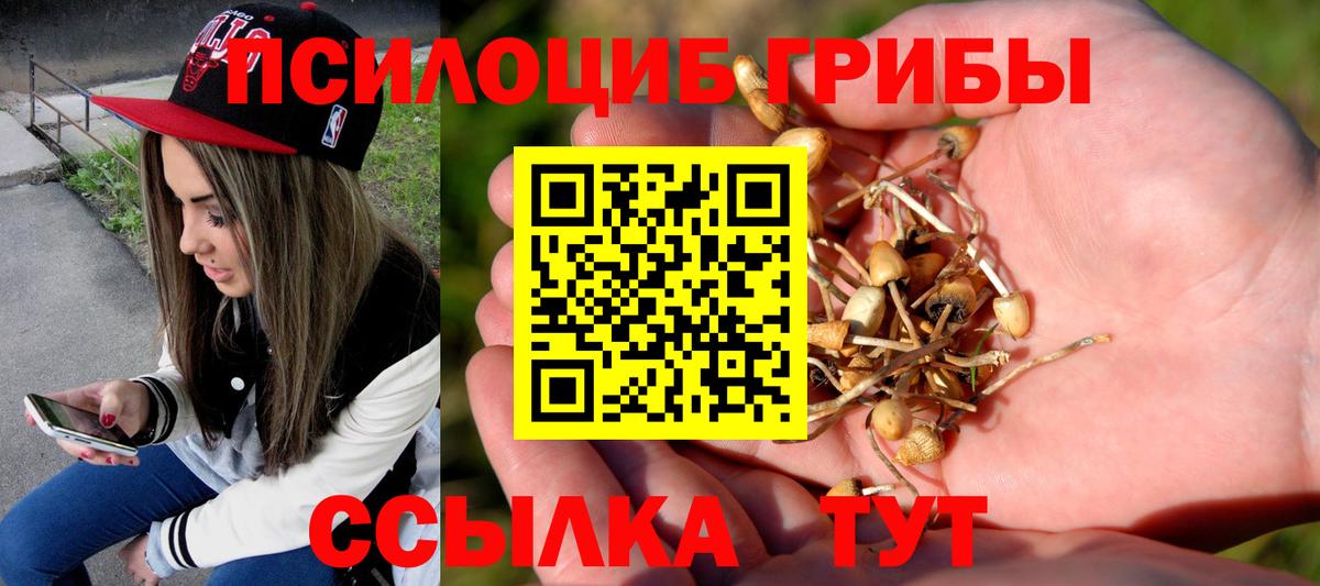 Галлюциногенные грибы Psilocybine cubensis  Галлюциногенные грибы мицелий  Вход с VPN  Костомукша 